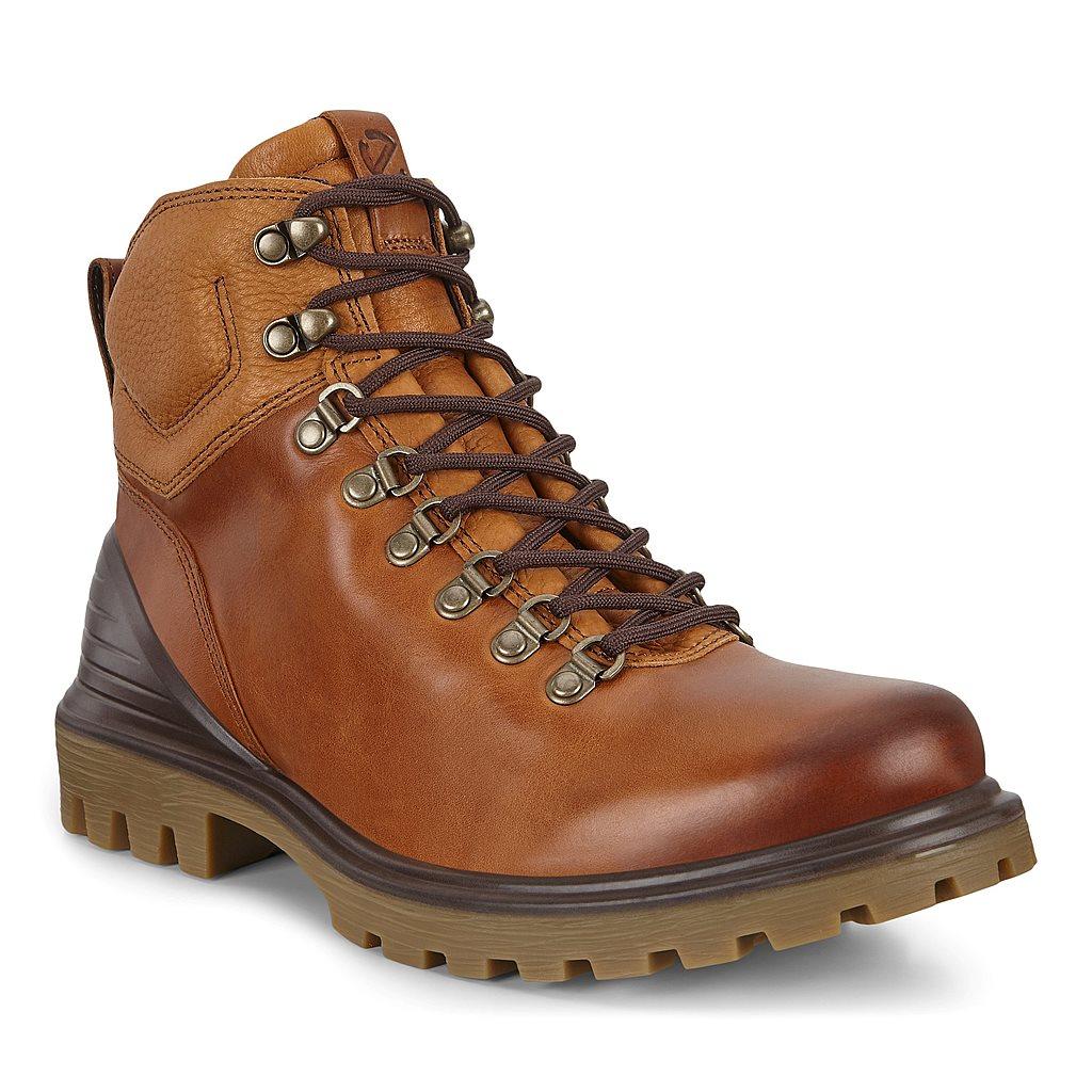 Bottes Ecco Tredtray Homme Marron 4756-QHIVM